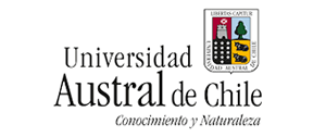 Logotipo 2